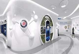 武汉全自动剥皮机销售价格