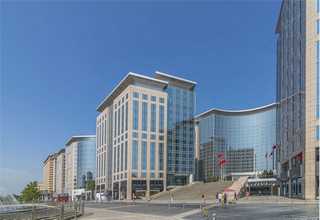 山东威代尔白冰酒批发代理